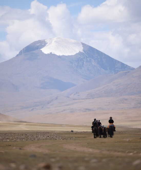 Mongolie