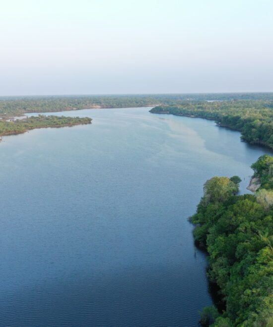 Amazonie