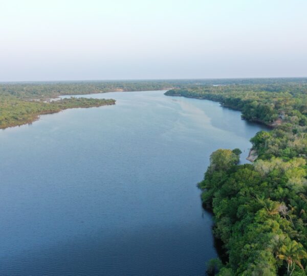 Photo en drone du fleuve rio negro amazonie au bresil