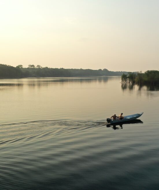 Amazonie
